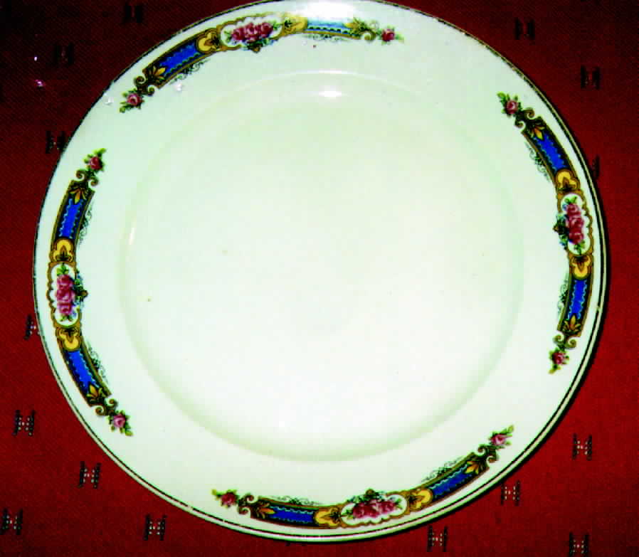 OST7 Dinner Plate by Ostrow-1