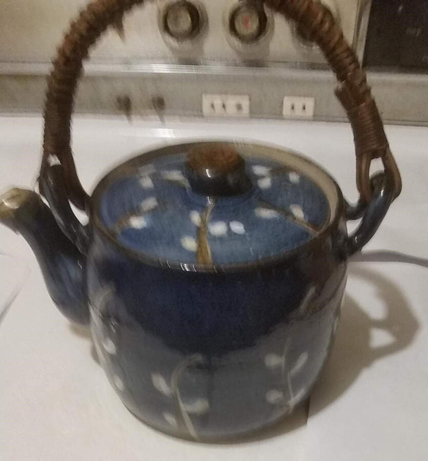 Pussywillow Teapot & Lid by Otagiri-1