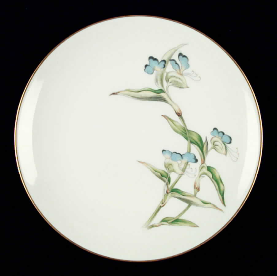 OHT1 Salad Plate by Ohata-1