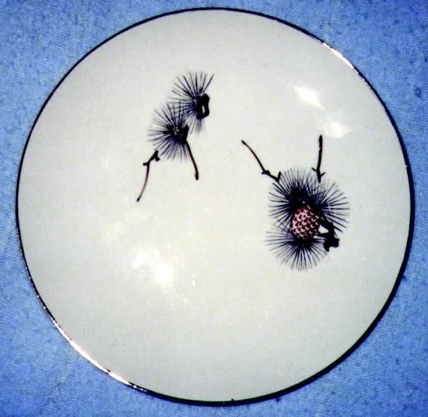 ORT2 Dinner Plate by Orient China-1