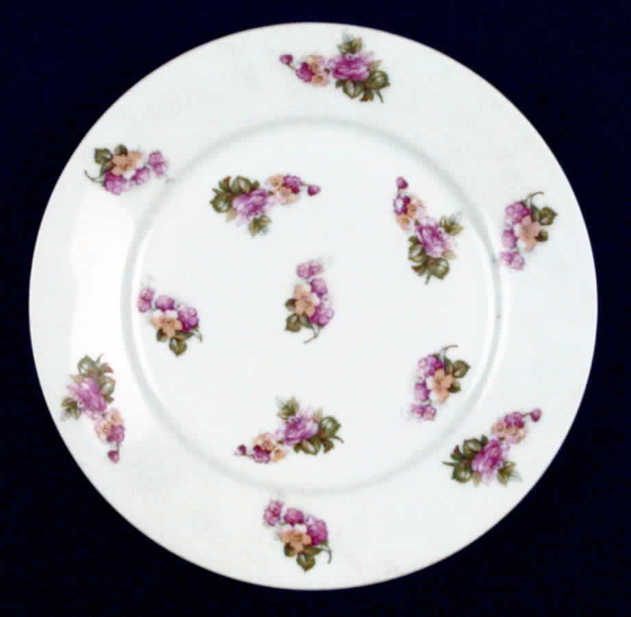 OSG2 Salad Plate by Oscar & Edgar Gutherz-1