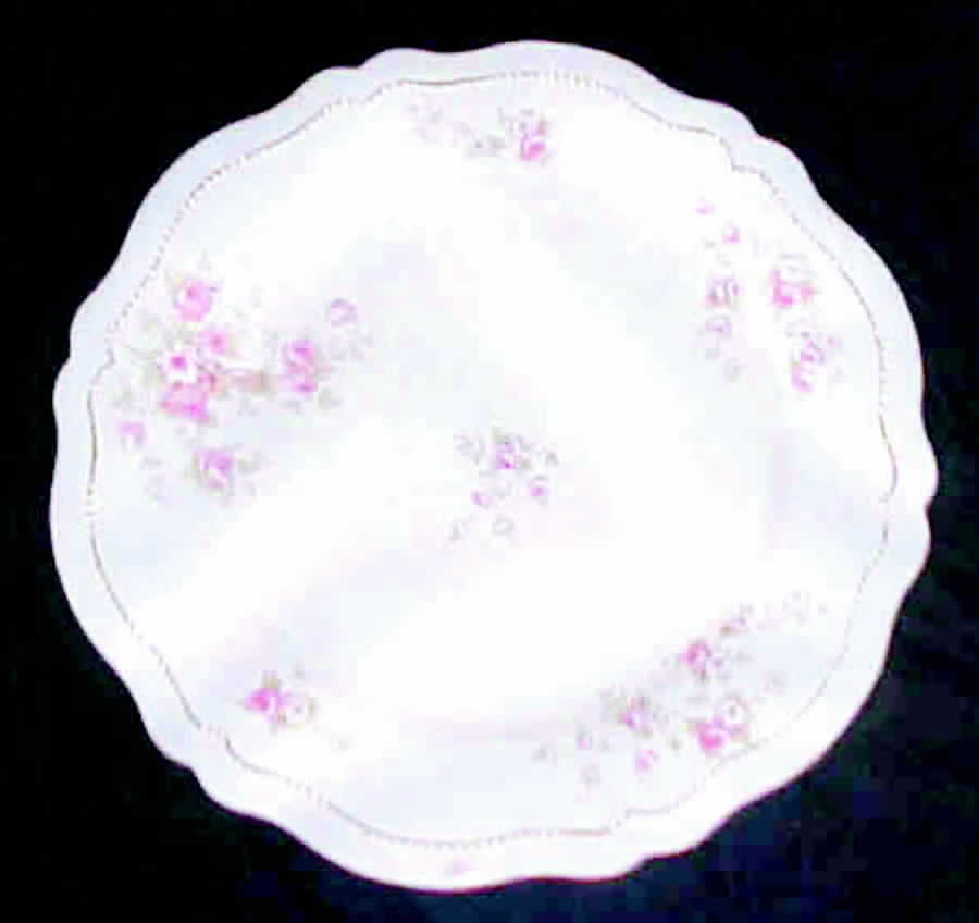 OSG16 Dinner Plate by Oscar & Edgar Gutherz-1