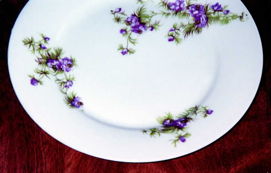 OSG44 Salad Plate by Oscar & Edgar Gutherz-1