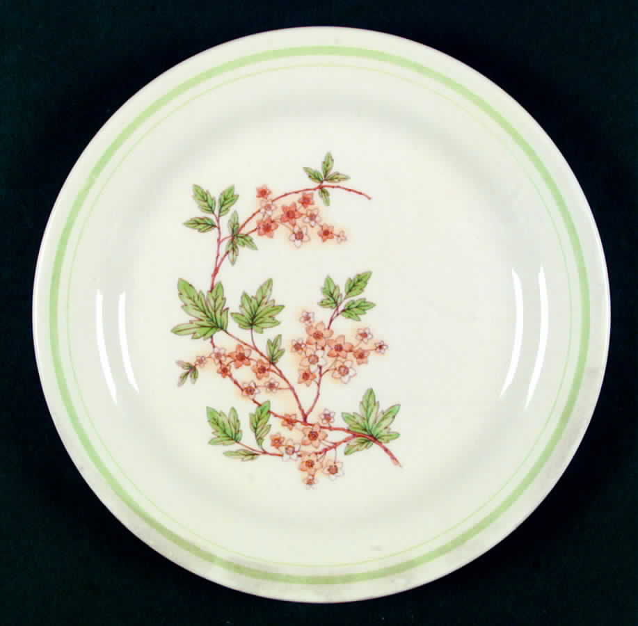 OXF26 Dinner Plate by Oxford (Brazil)-1