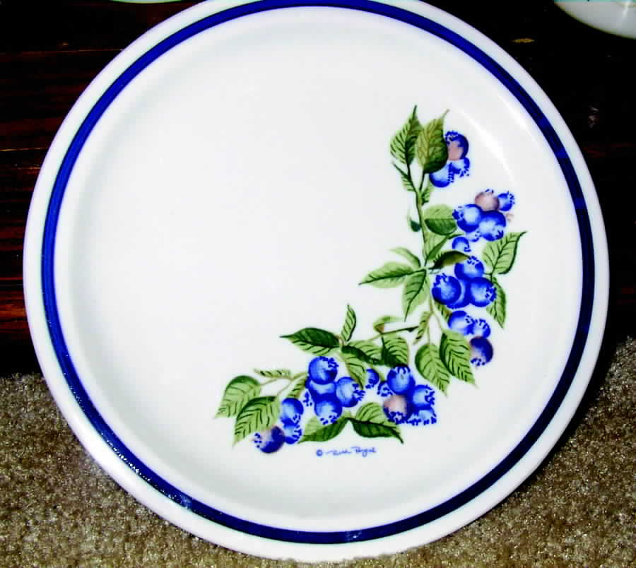 OTA11 Dinner Plate by Otagiri-1