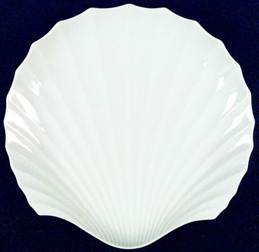 OTA13 Dinner Plate by Otagiri-1