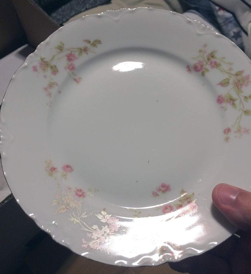 OSG101 Salad Plate by Oscar & Edgar Gutherz-1
