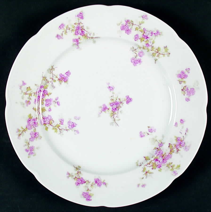OSG104 Dinner Plate by Oscar & Edgar Gutherz-1