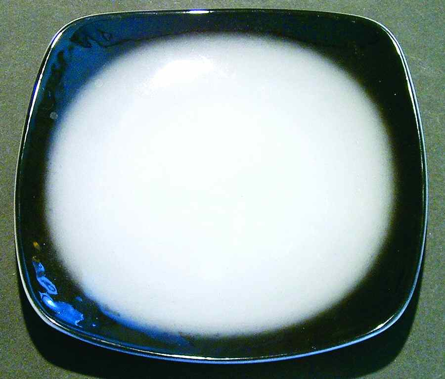 Orc8 Salad Plate by Orchard-1