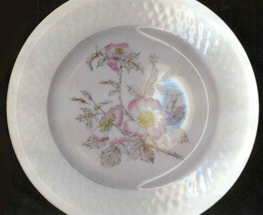 OGU16 Dinner Plate by Oscar Gutherz (Limoges)-1
