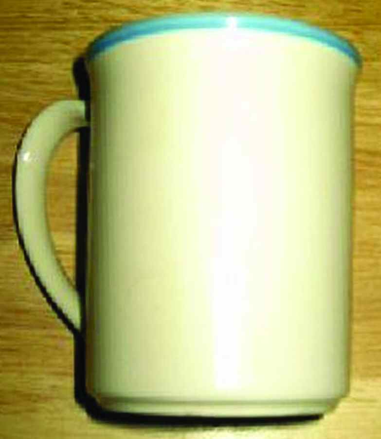 Shadow Mug by Oneida-1
