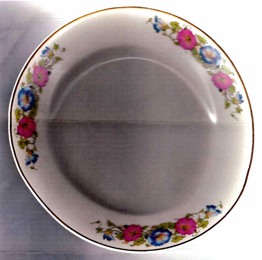 OWE30 Dinner Plate by Edward J Owen China-1