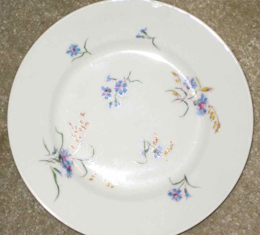 OGU21 Dinner Plate by Oscar Gutherz (Limoges)-1