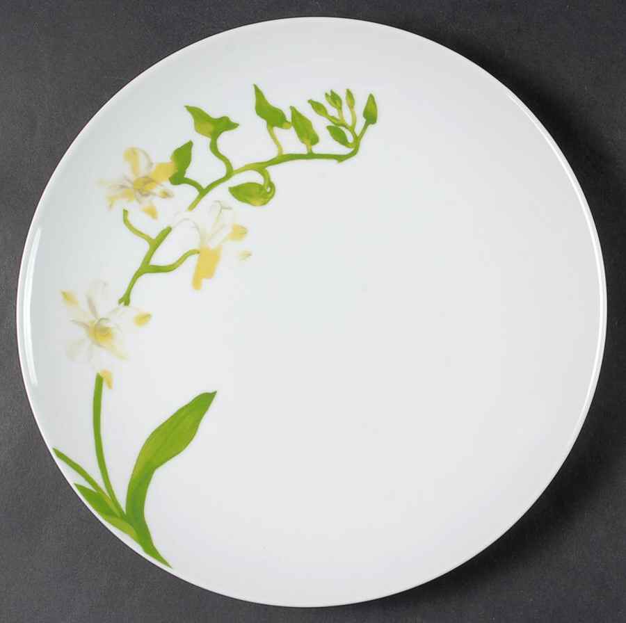 Morning Flora Dinner Plate by Oneida-1