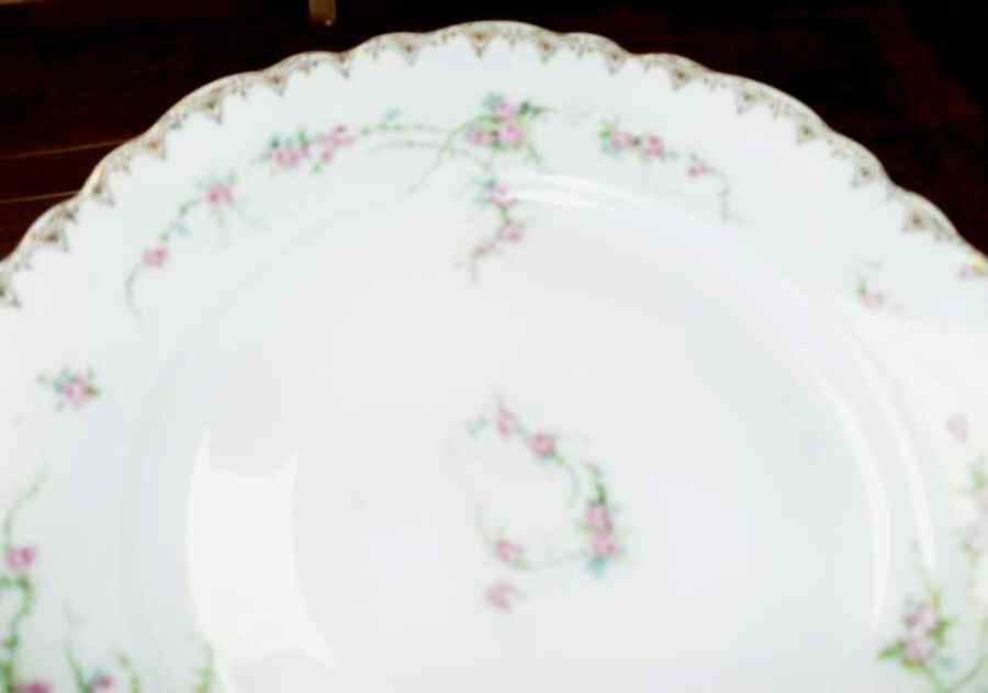 OSG262 Dinner Plate by Oscar & Edgar Gutherz-1