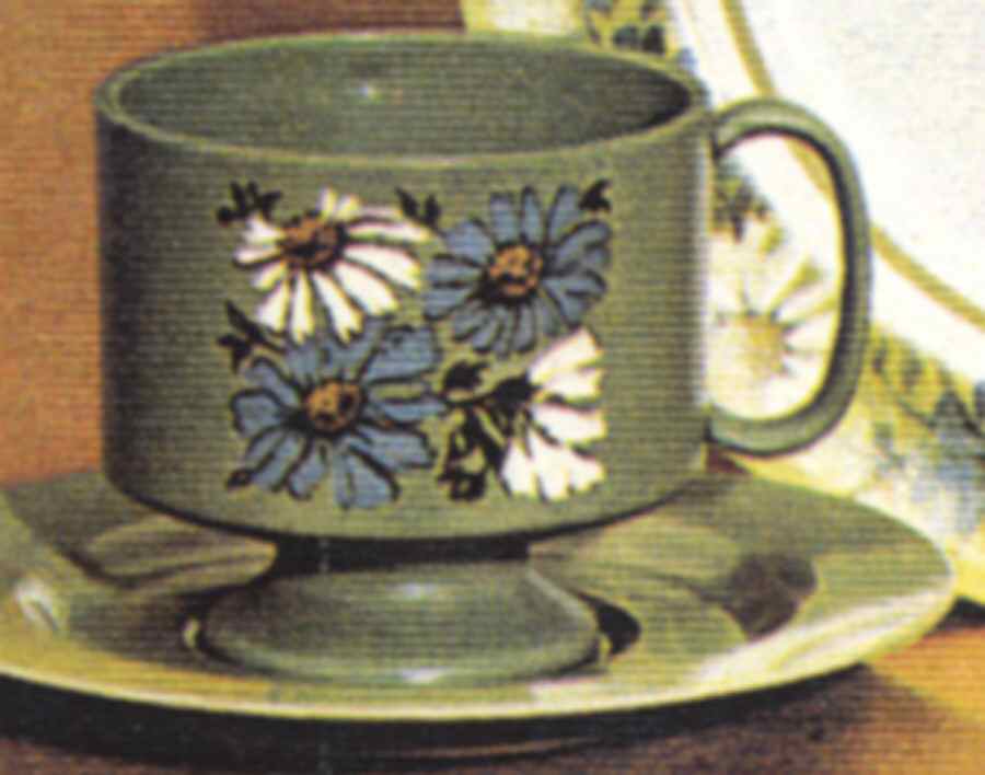Village Green Footed Cup & Saucer Set by Oneida-1