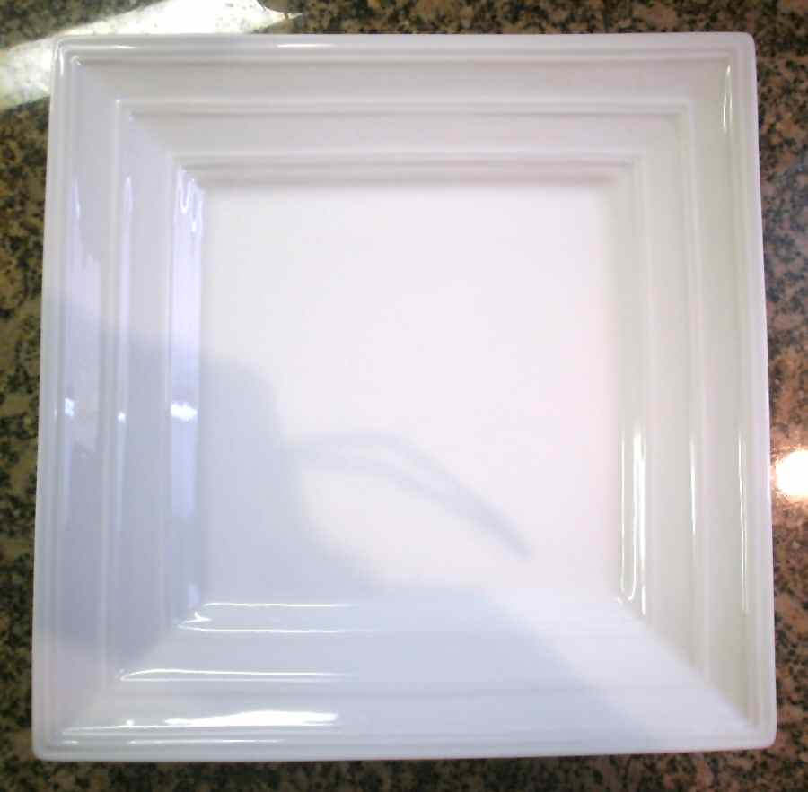 OVB20 Dinner Plate by Over And Back-1