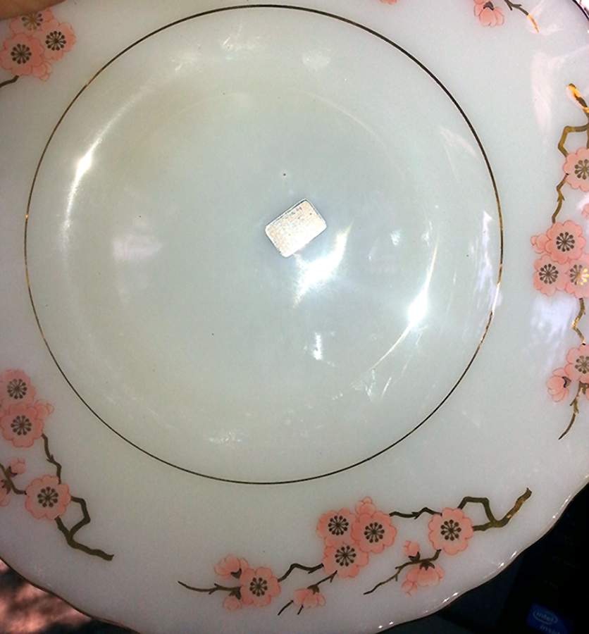OPL2 Dinner Plate by Opalon-1