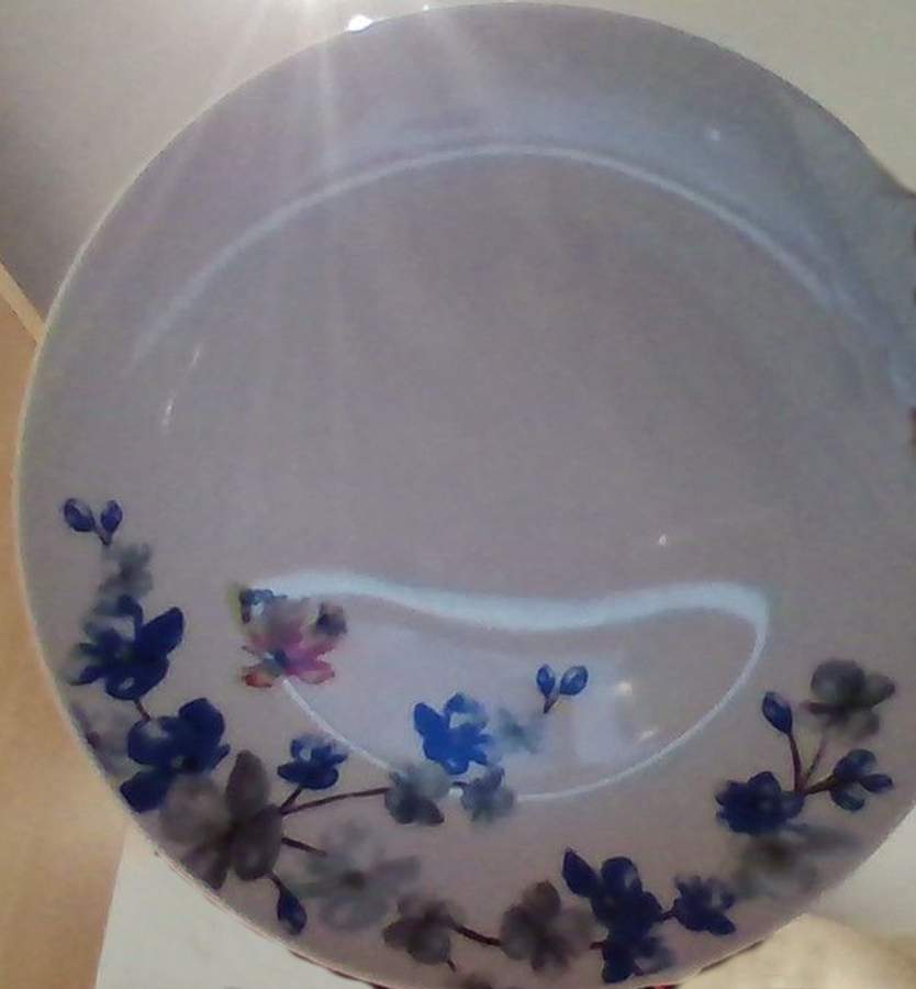 OXT1 Dinner Plate by Oxford & Thyme-1