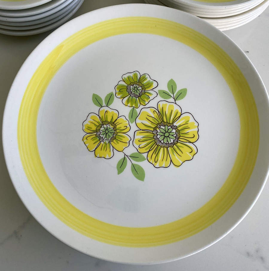 8710 Dinner Plate by Oxford (Brazil)-1