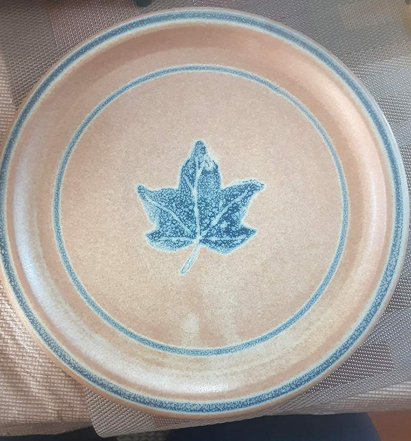 Indian Summer Dinner Plate by Oneida-1