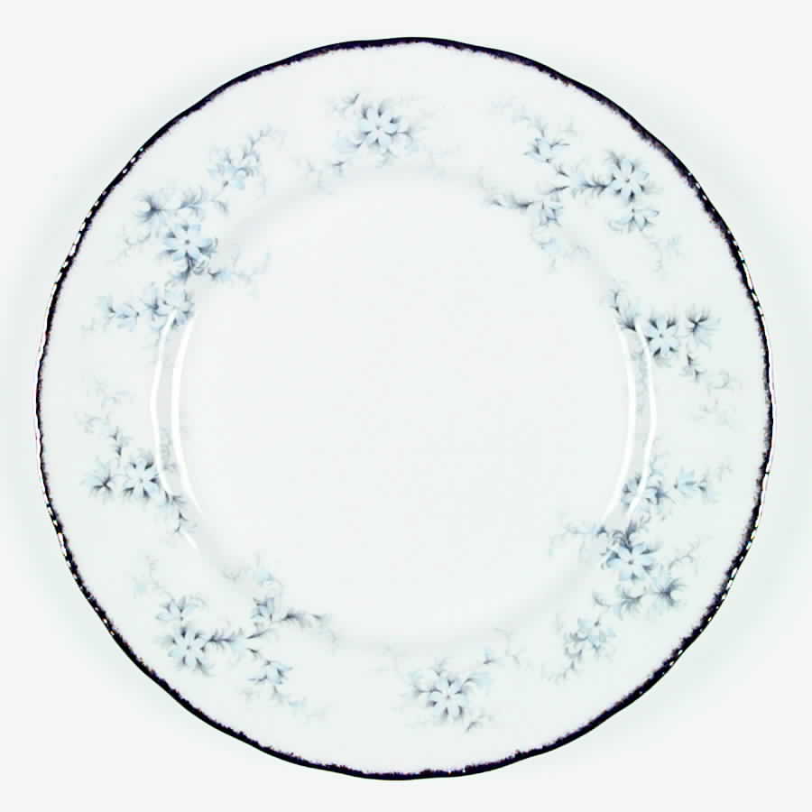 Brides Choice Dinner Plate by Paragon-1