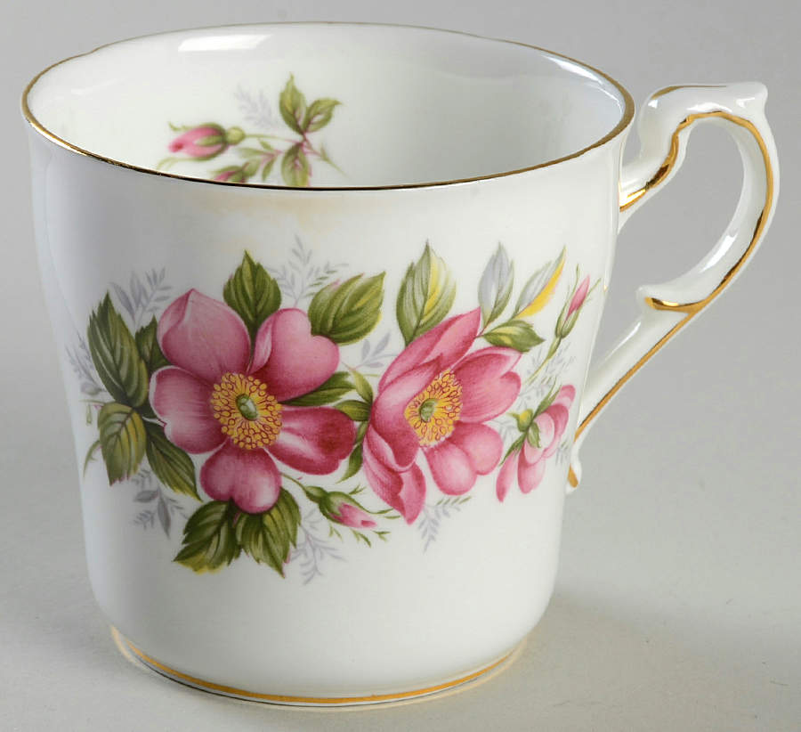 Canadian Provincial Flowers Mug by Paragon-1