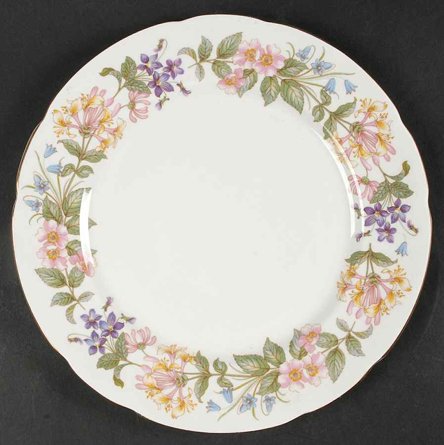 Country Lane (Scalloped Flat Rim) Dinner Plate by Paragon-1