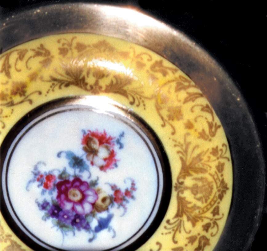 F256-4 Dinner Plate by Paragon-1