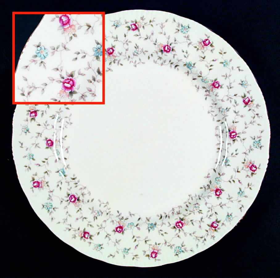 First Choice Dinner Plate by Paragon-1
