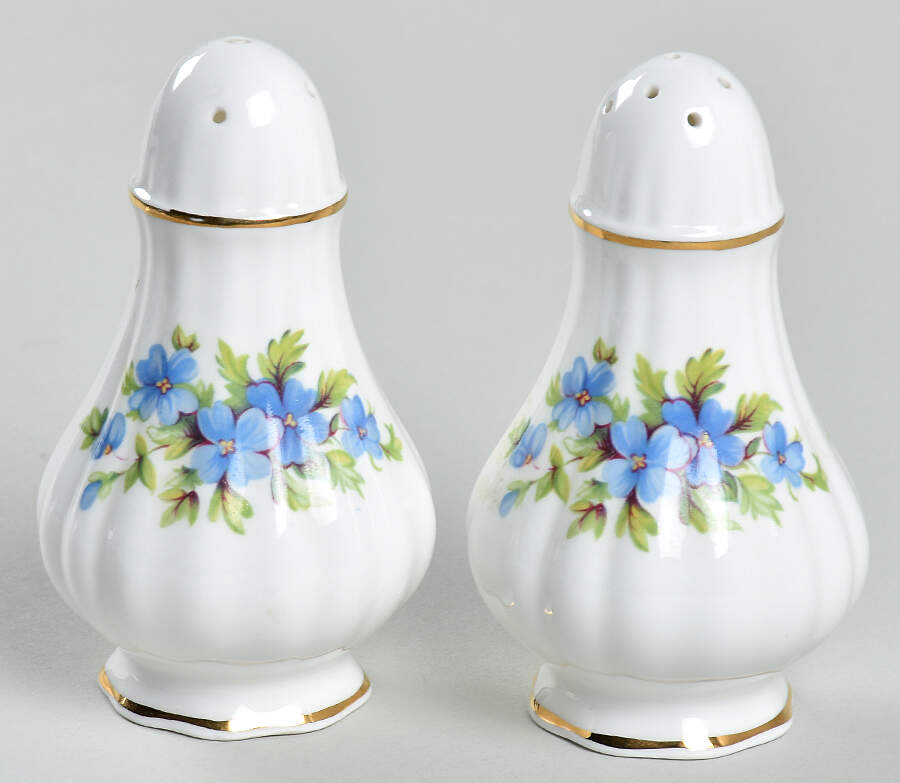 Forget Me Not Salt & Pepper Set by Paragon-1