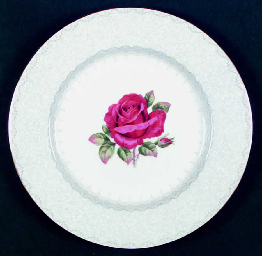 Madeira Lace Dinner Plate by Paragon-1