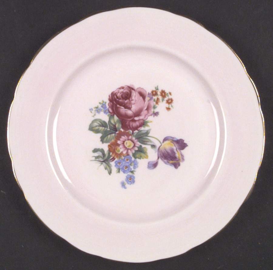 PAR1 Salad Plate by Paragon-1