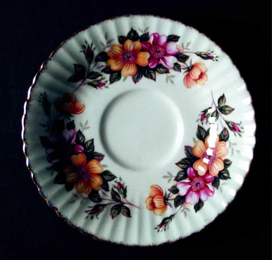 PAR14 Saucer by Paragon-1
