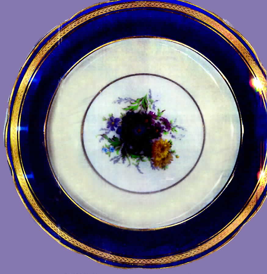 S3616-1 Dinner Plate by Paragon-1