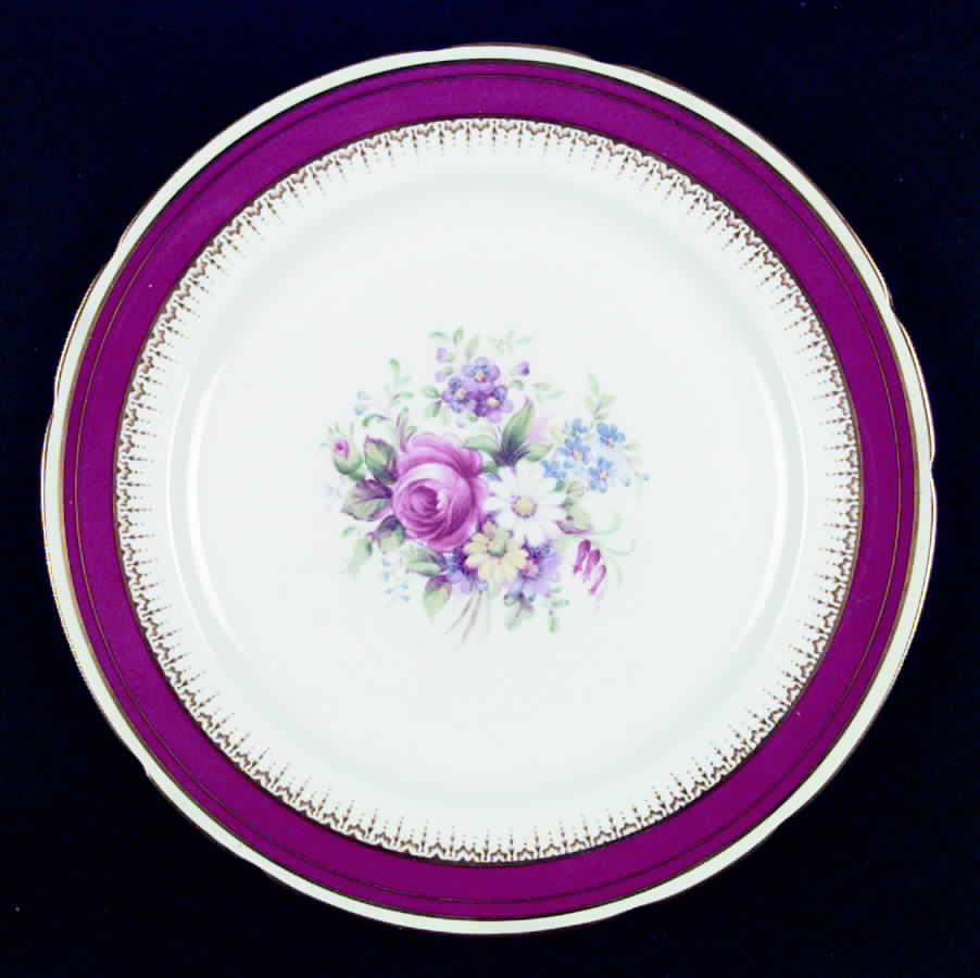 Varsity Dinner Plate by Paragon-1