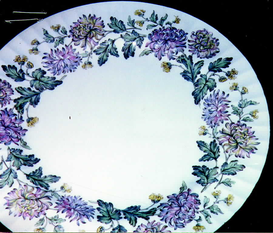 Z1264 Dinner Plate by Paragon-1