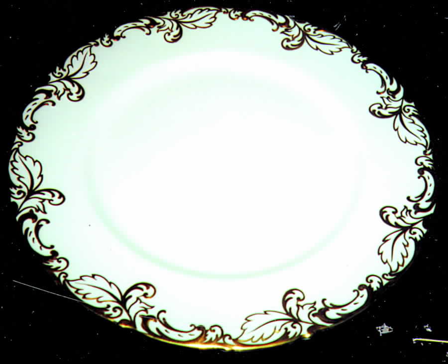 Z1293 Dinner Plate by Paragon-1
