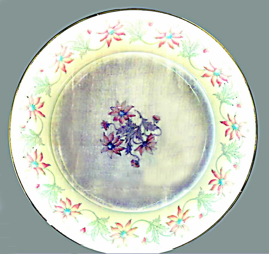 Z1351 Dinner Plate by Paragon-1