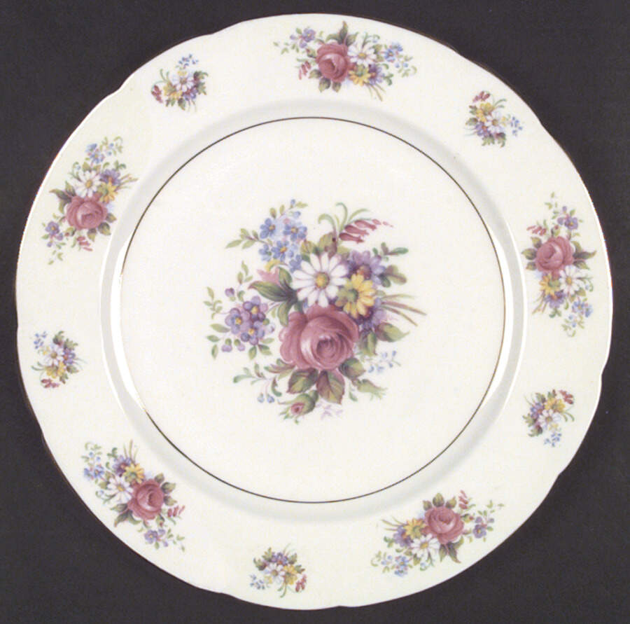 Z196 Dinner Plate by Paragon-1