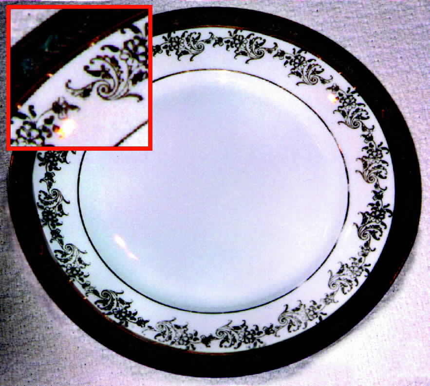 PCF1 Dinner Plate by Pacific China-1