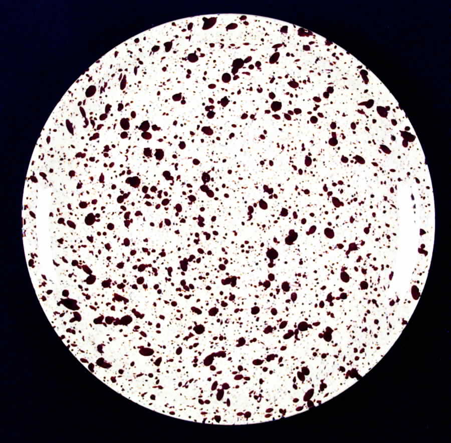 Confetti Brown Dinner Plate by Paden City-1
