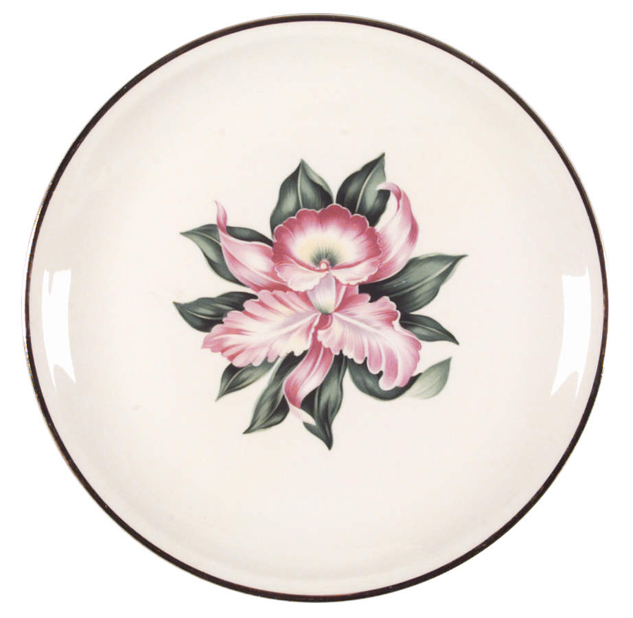 Modern Orchid Dinner Plate by Paden City-1