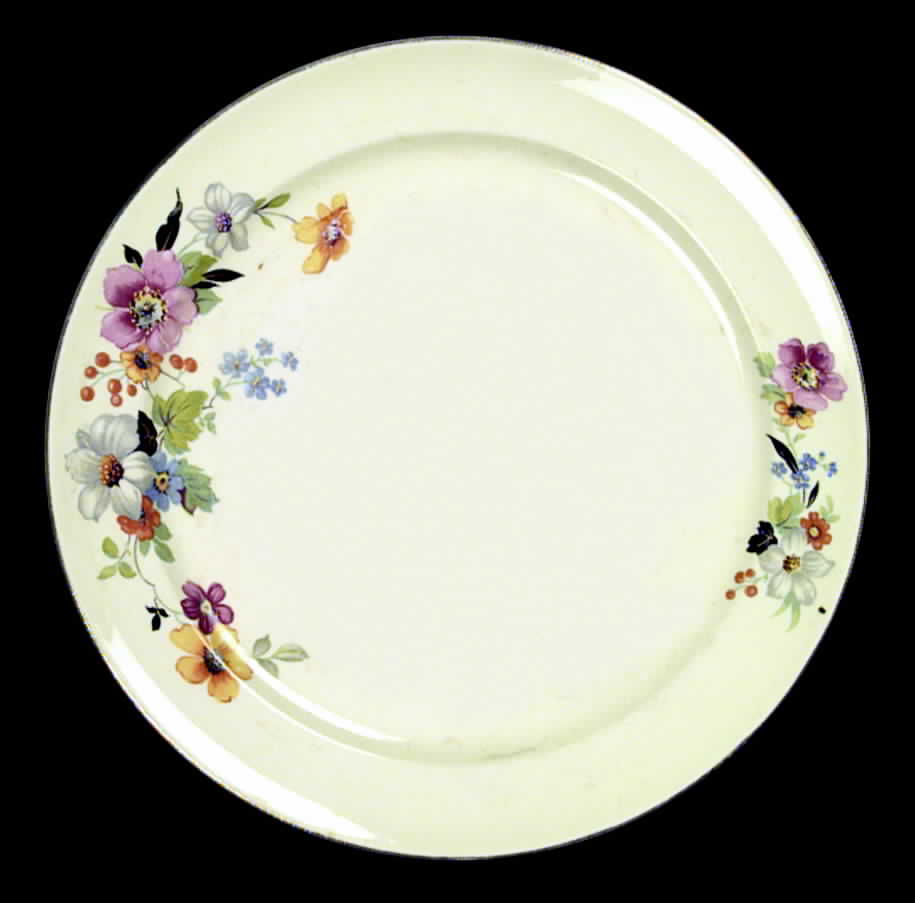 PCP14 Dinner Plate by Paden City-1