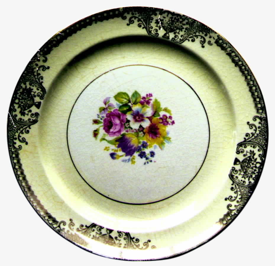PCP42 Dinner Plate by Paden City-1
