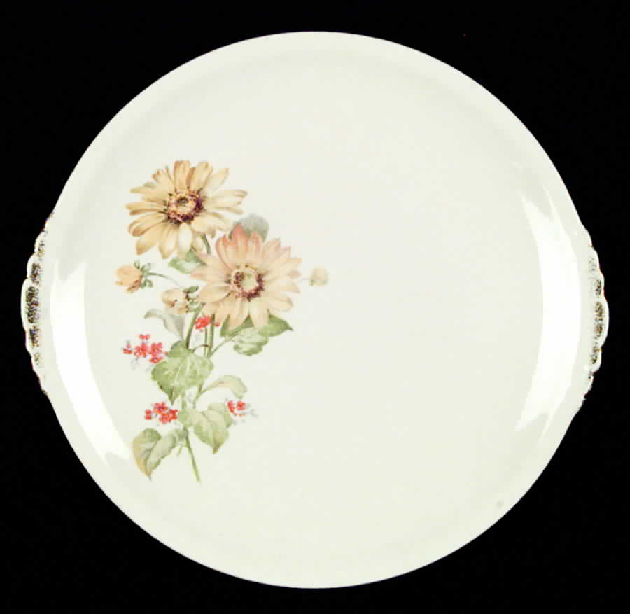 PCP60 Dinner Plate by Paden City-1