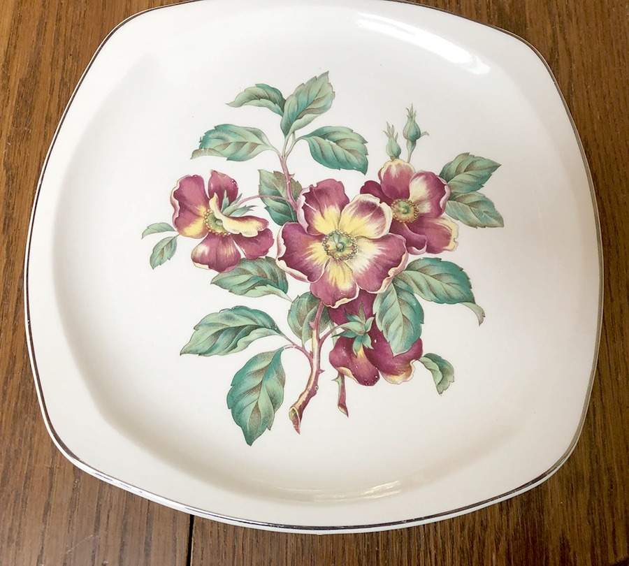 PCP65 Dinner Plate by Paden City-1