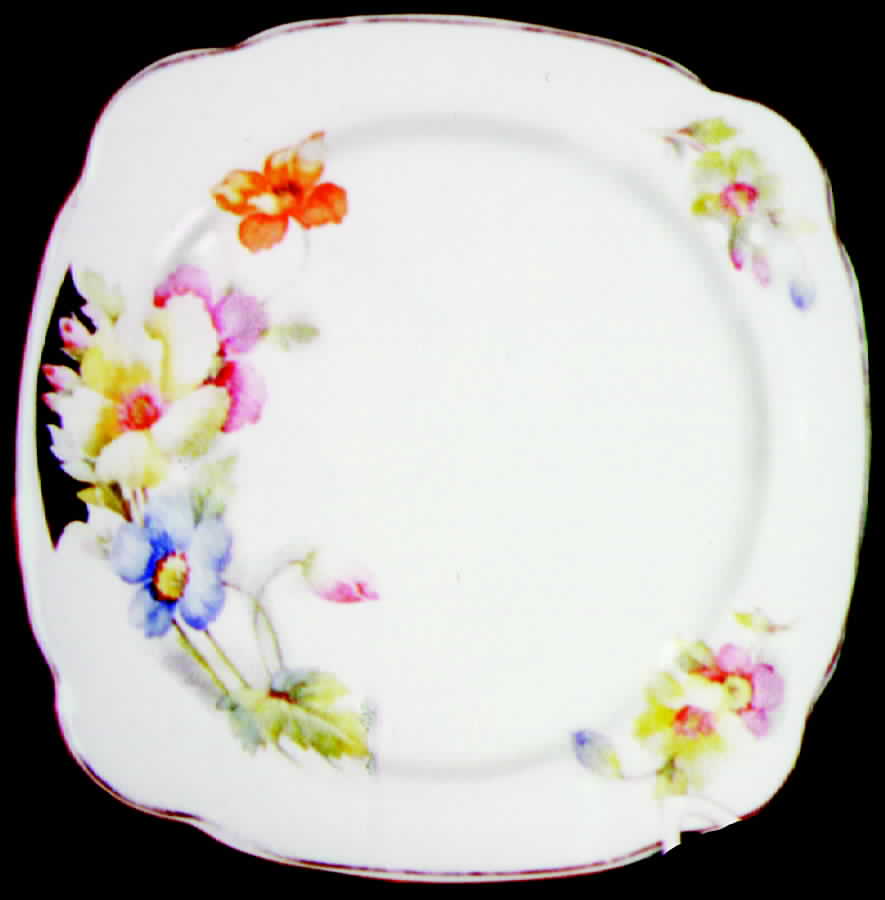 PCP83 Dinner Plate by Paden City-1