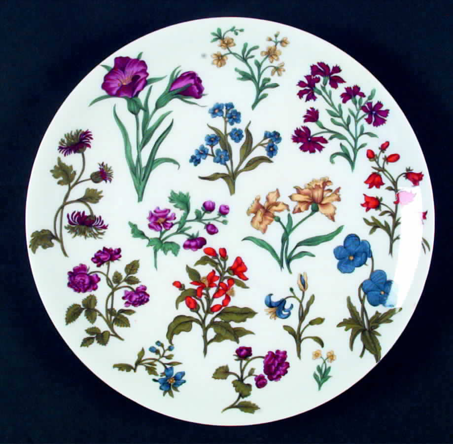 Herbier Dinner Plate by Porcelaine De Paris-1