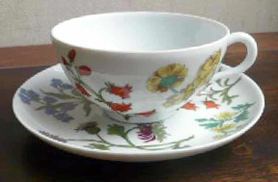 Herbier Footed Cup & Saucer Set by Porcelaine De Paris-1